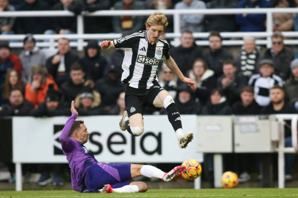 文班的潛力 文班的潛力